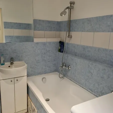 Apartament Przy Lesie - Brodwino *